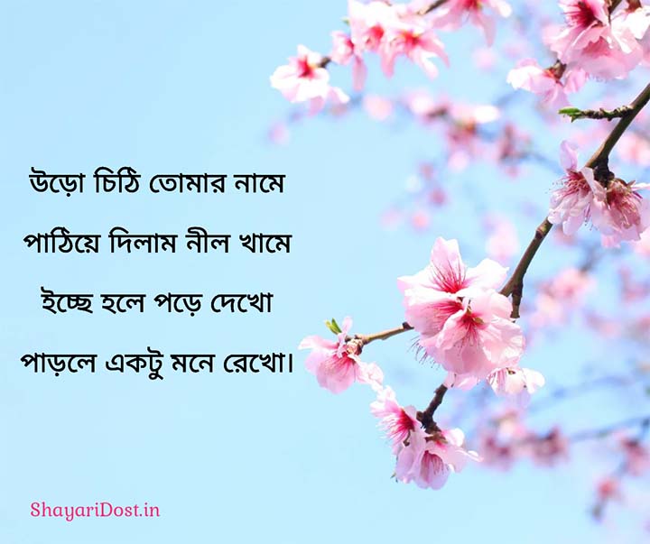 Love Quotes Sms For Lover in Bengali Language