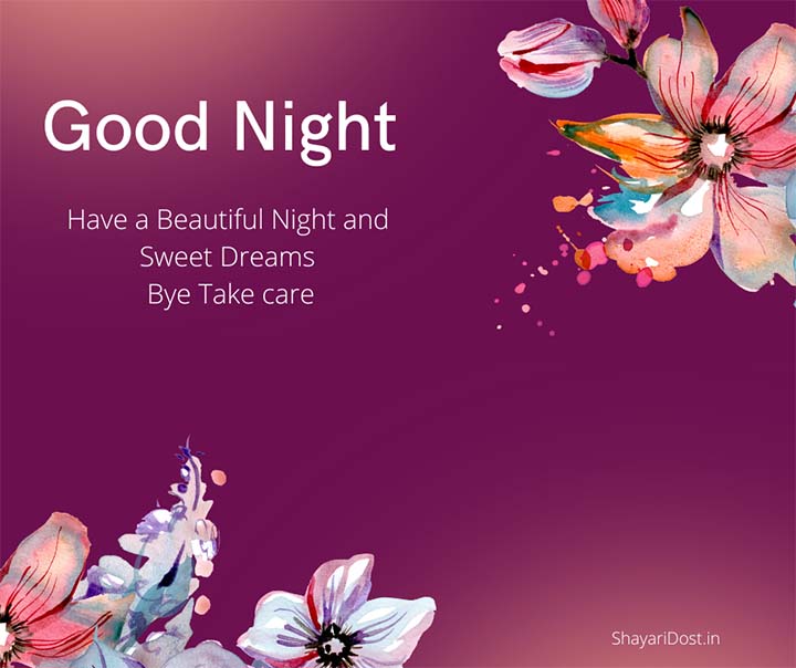 Good Night Image SMS