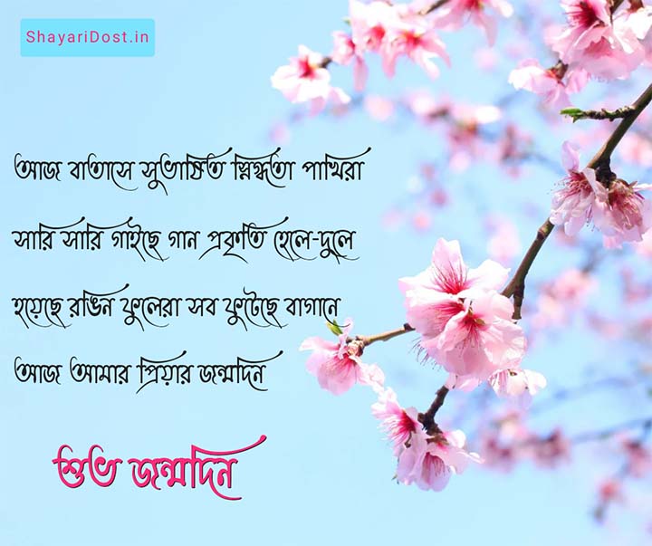 Jonmodiner Kobita, Birthday Poem in Bengali