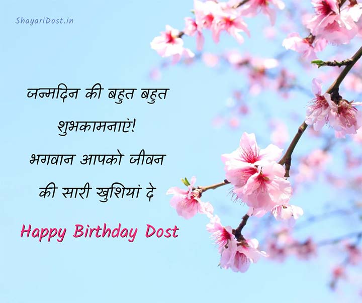 Happy Birthday Wish For Friend in Hindi