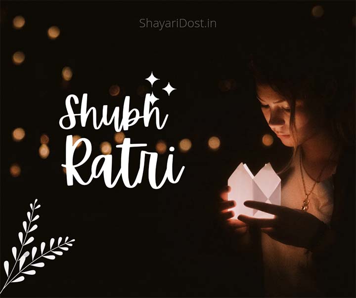 You are currently viewing Good Night Shayari In Hindi | शुभ रात्रि शायरी