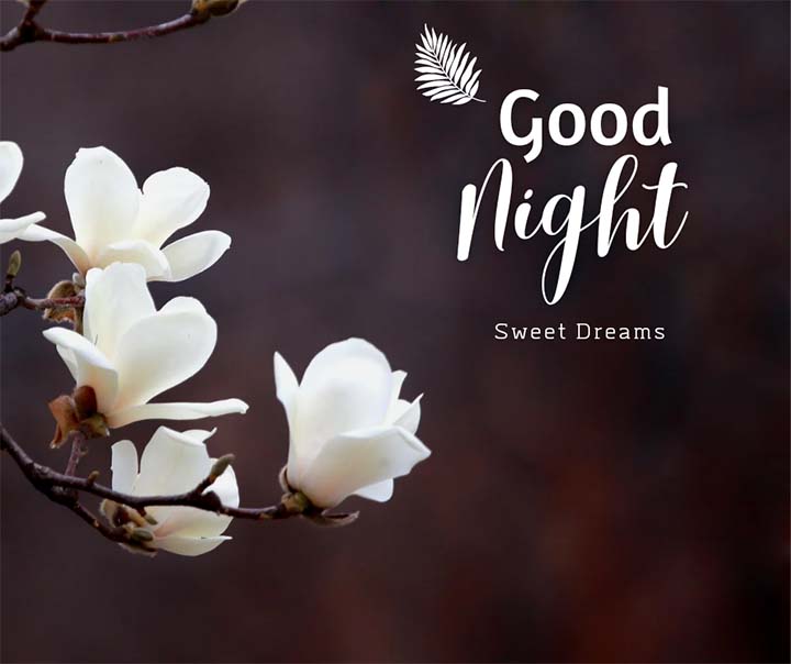 Good Night WIshes Pictures
