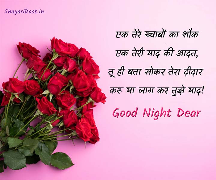 Romantic Good Night Shayari With Rose Flowers