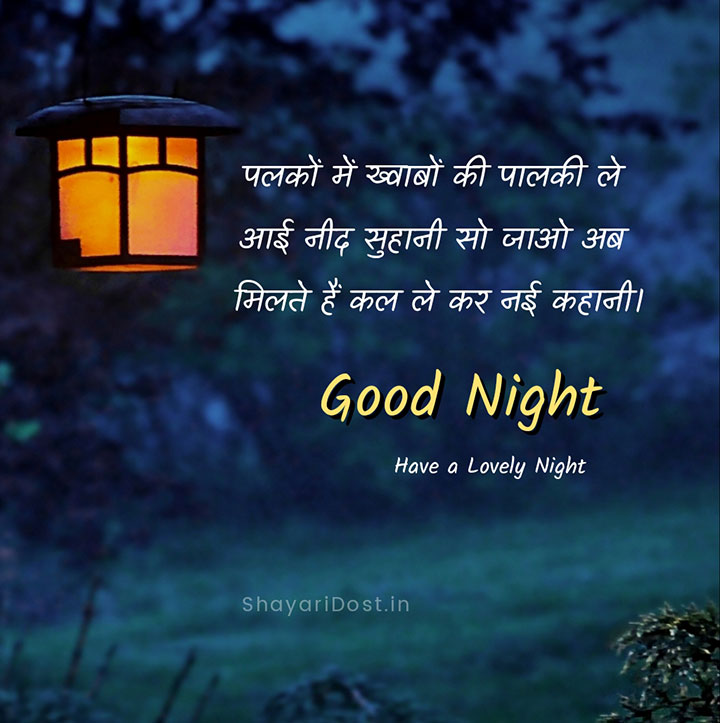 Best Good Night Shayari in Hindi