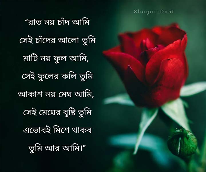 Bangla Romantic Love Quotes for Girlfriend, Valobasa Caption Bangla