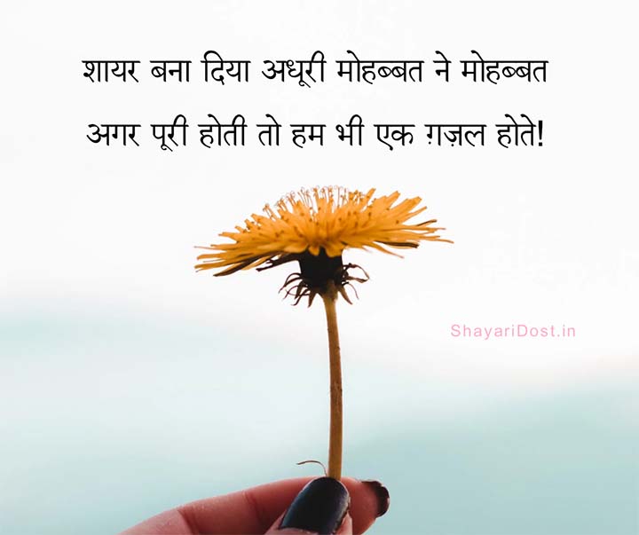 Mohabbat Shayari in Hindi With Flower
