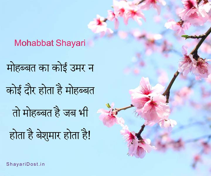 Mohabbat Par Shayari in Hindi Medium