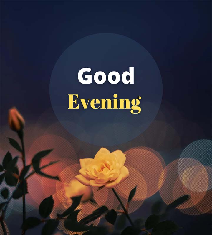 Illustration of Good Evening Wish With Flowers