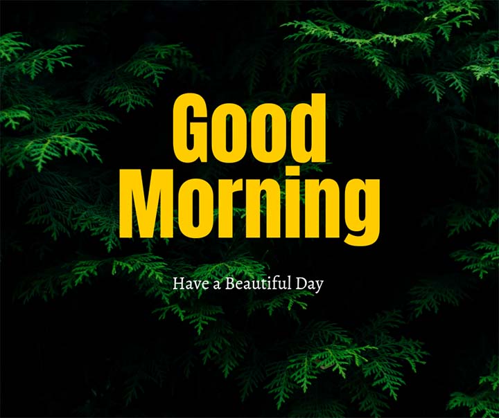 Nature Good Morning Wishes Image