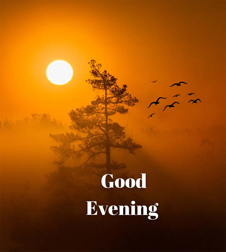 Nice Good Evening Image