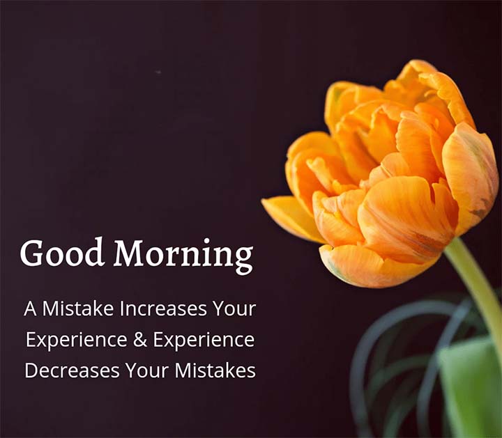 175+ Best Good Morning Wishes, Messages & Quotes 2023