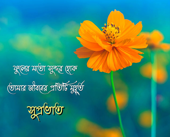 Suprabhat Love Shubhechha Bangla