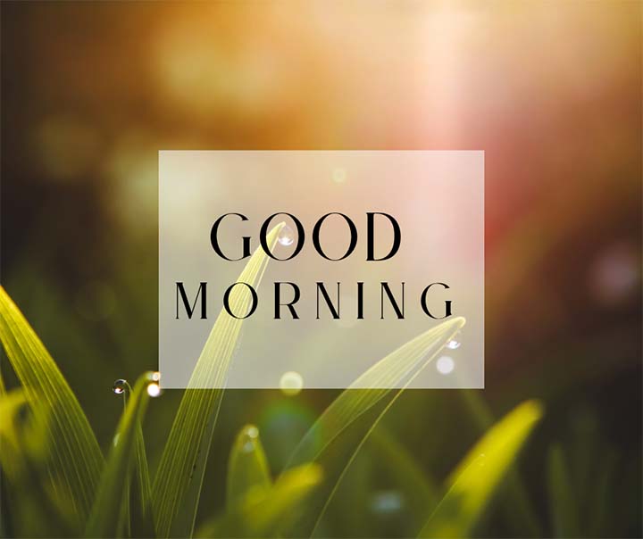 Simple Good Morning Wishes Image
