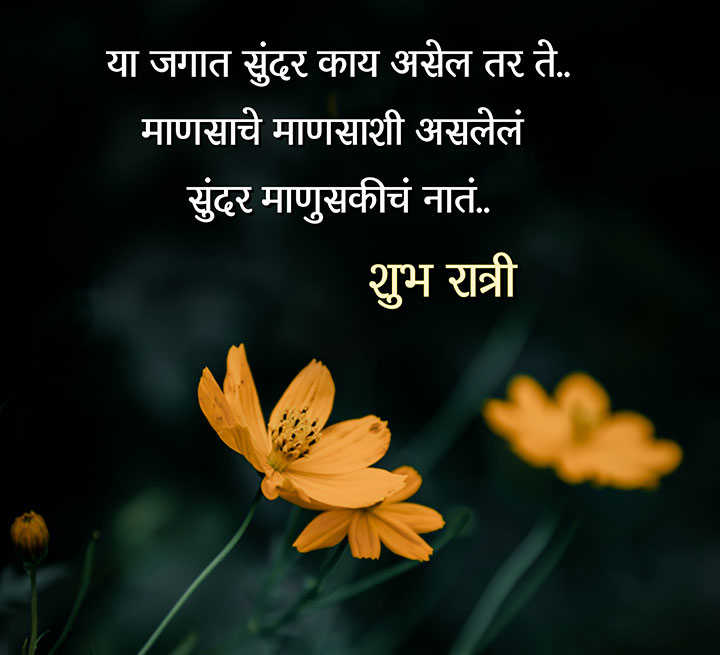Good Night Quotes Marathi