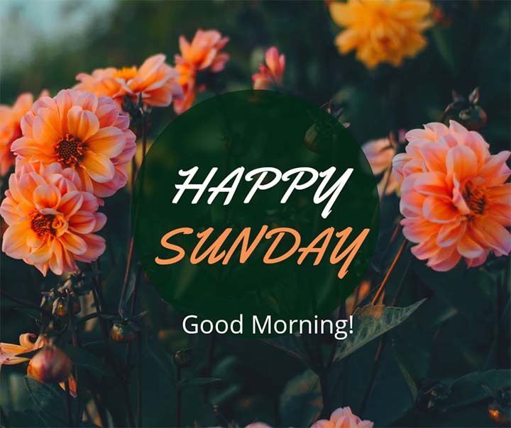 Happy Sunday Greetings Images
