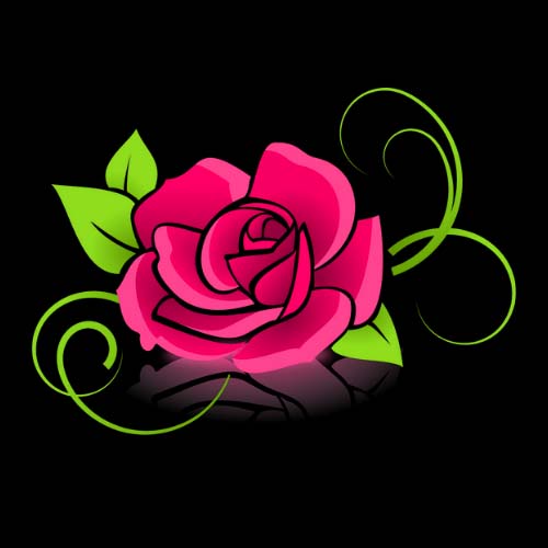 Rose Flower Whatsapp Dp Photo