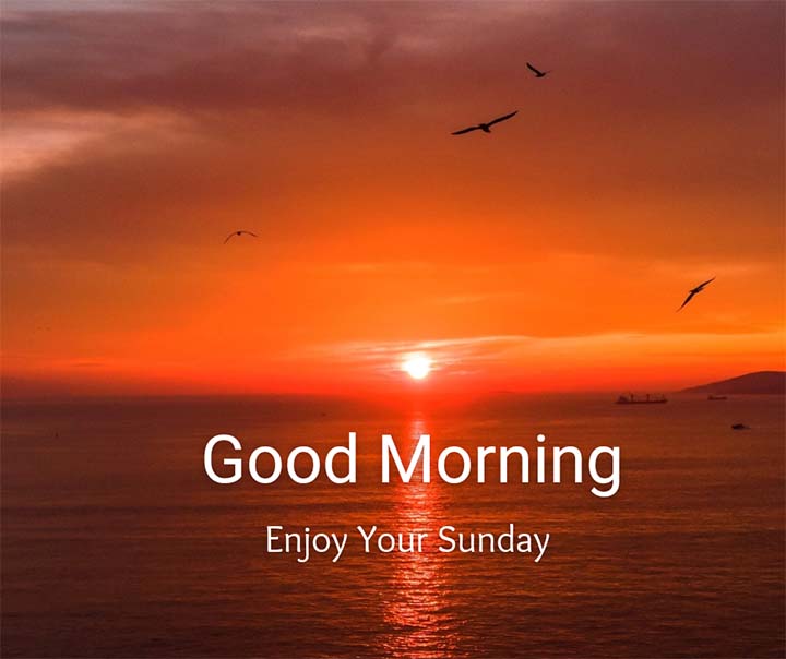 Good Morning Sunday Wishes