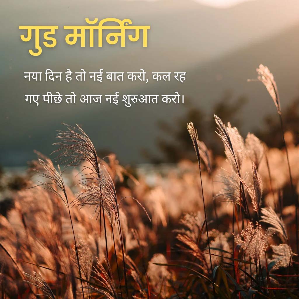 Good Morning Hindi Quotes Pics