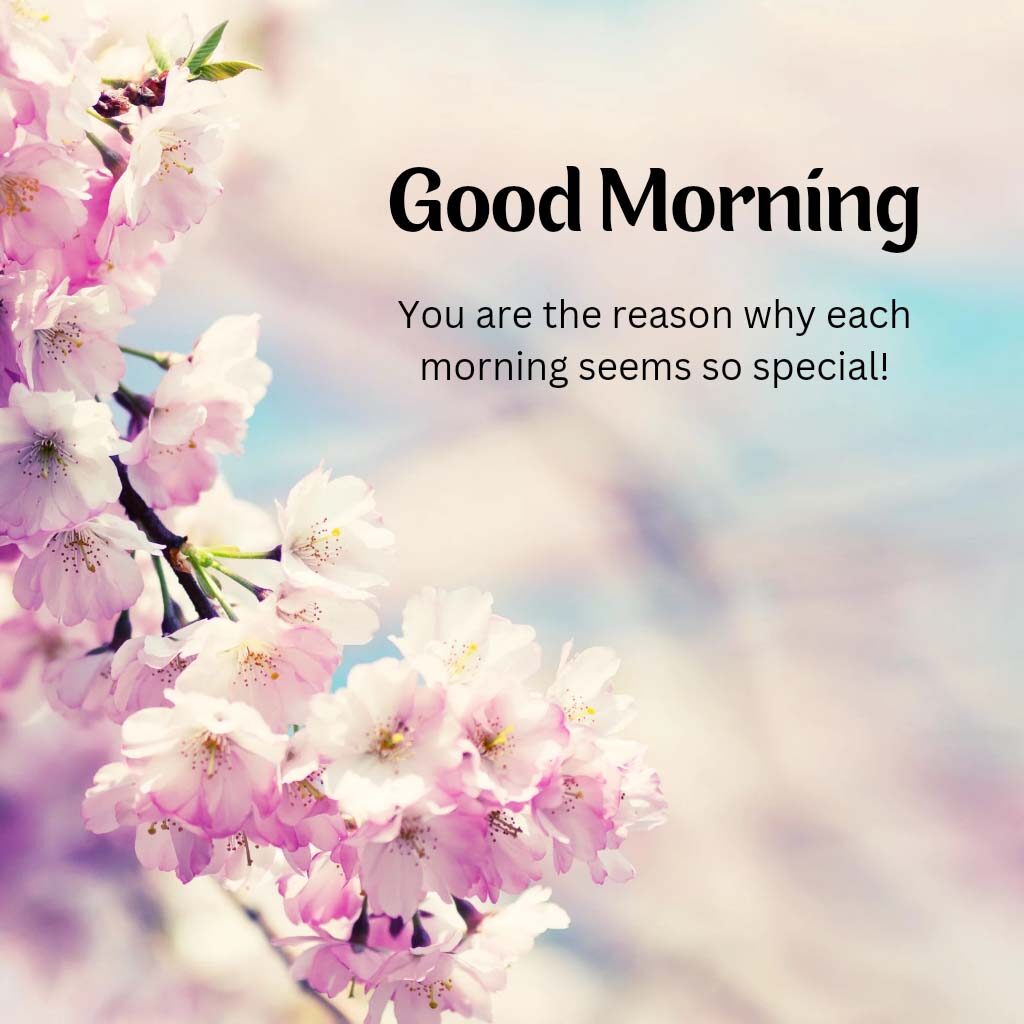 Quotes on Love Good Morning