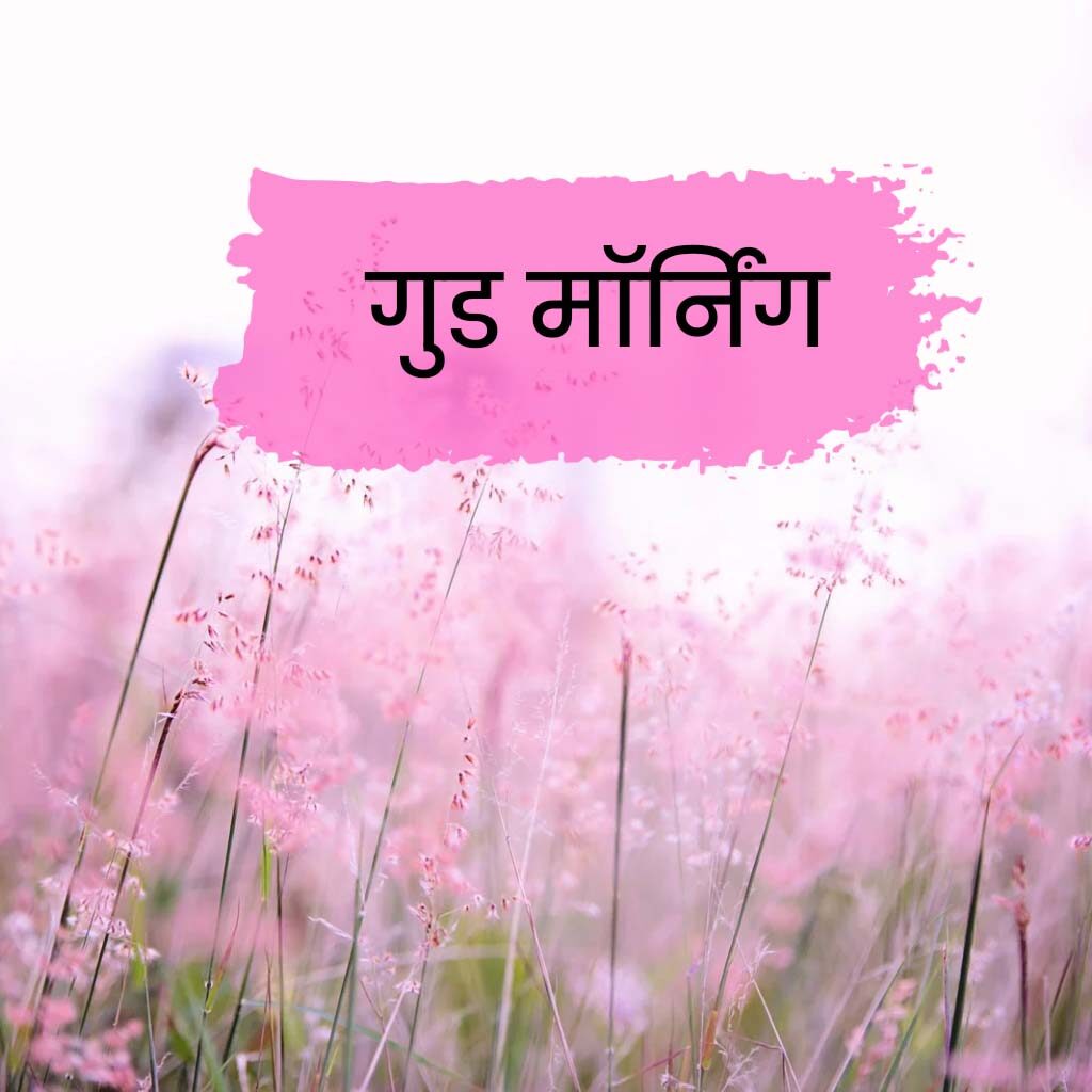 Good Morning Pics Hindi