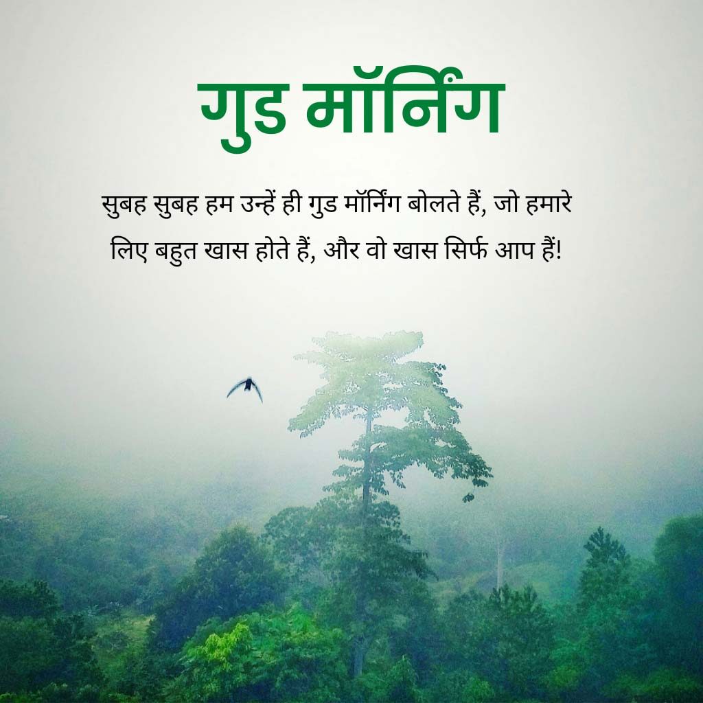 Good Morning Pics Hindi With Quotes