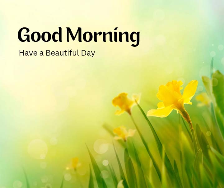 Good Morning Greetings Images