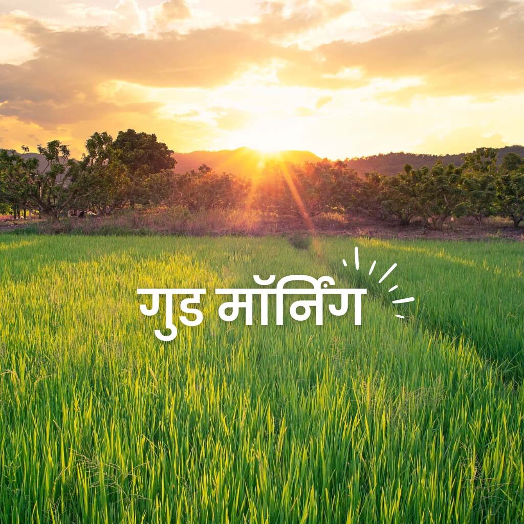 Good Morning Status Hindi Image