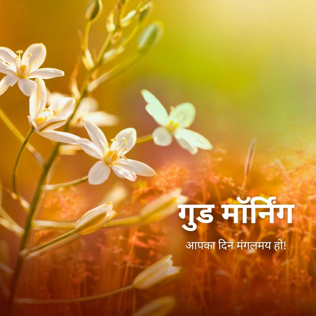 Good Morning Hindi Images With Beautiful Flowers
