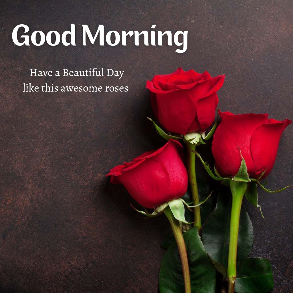 Good Morning Images With Roses For Love