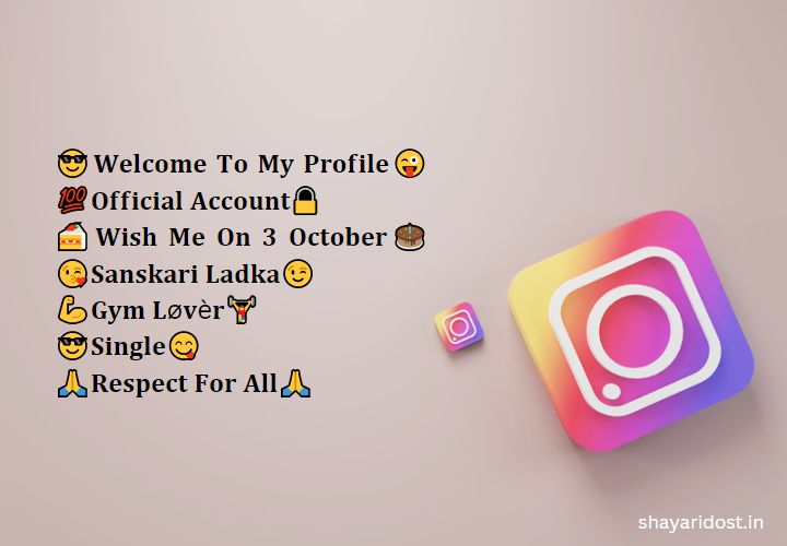 Professional Instagram Bio For Boys 