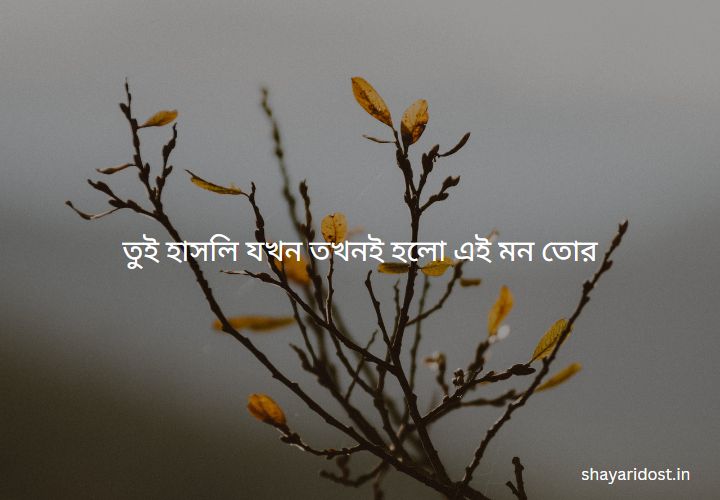  Romantic Bios for Instagram in Bengali 