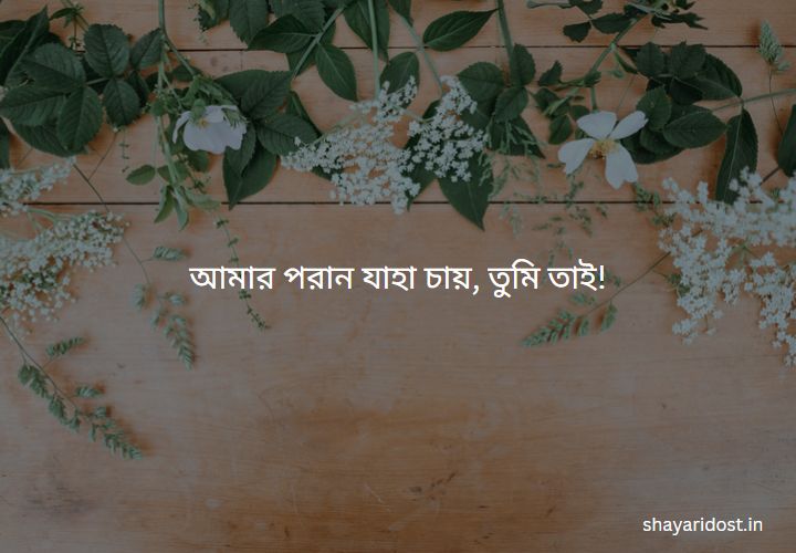 Short Bangla Caption 