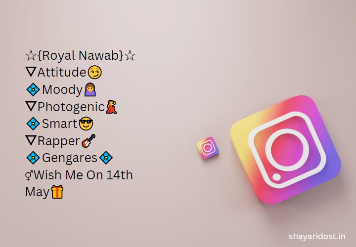 Simple Bio For Instagram For Boy 