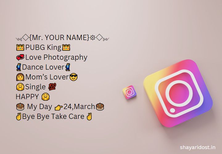 Single Instagram Bio For Boys 